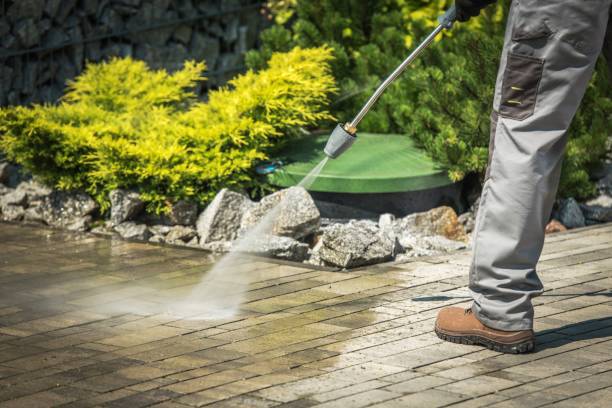 Best Boat and Dock Cleaning  in Diablo Grande, CA