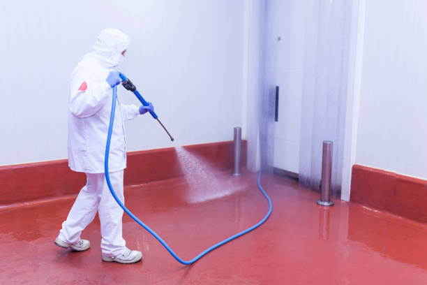 Best House Exterior Washing  in Diablo Grande, CA